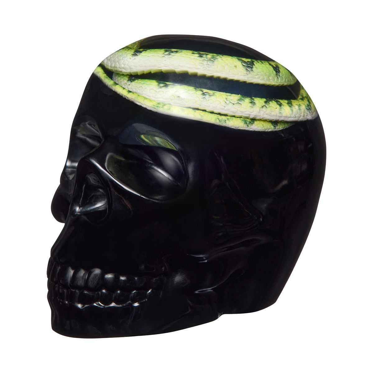 Enchanted Shadows Snake Skull MULTI-COLOR