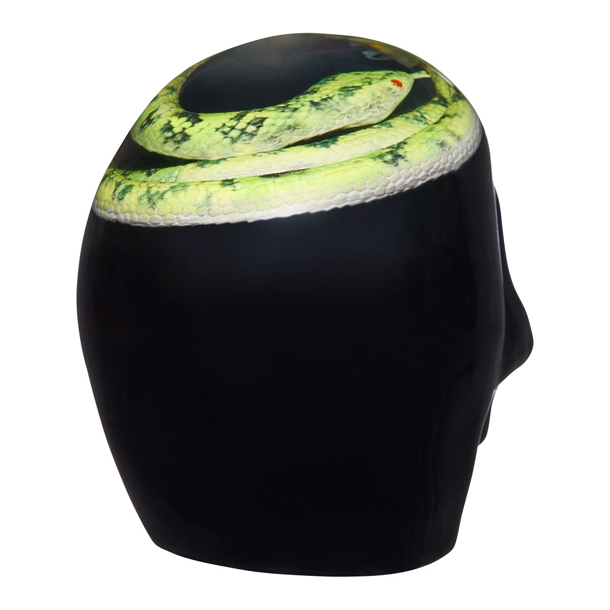 Enchanted Shadows Snake Skull MULTI-COLOR