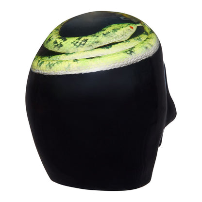 Enchanted Shadows Snake Skull MULTI-COLOR