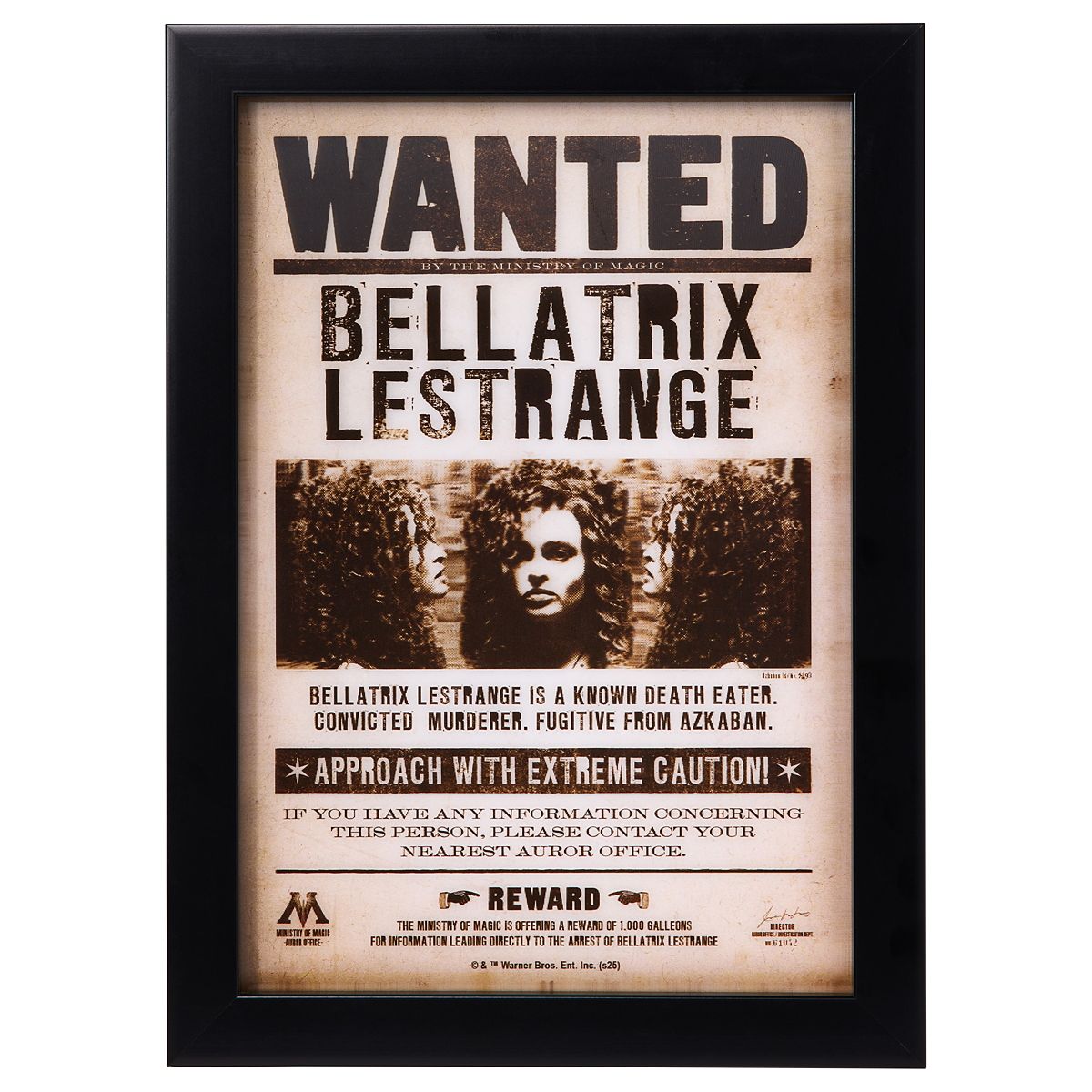 Bellatrix Lestrange Mugshot Sign - Harry Potter MULTI-COLOR