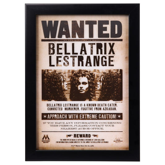 Bellatrix Lestrange Mugshot Sign - Harry Potter MULTI-COLOR
