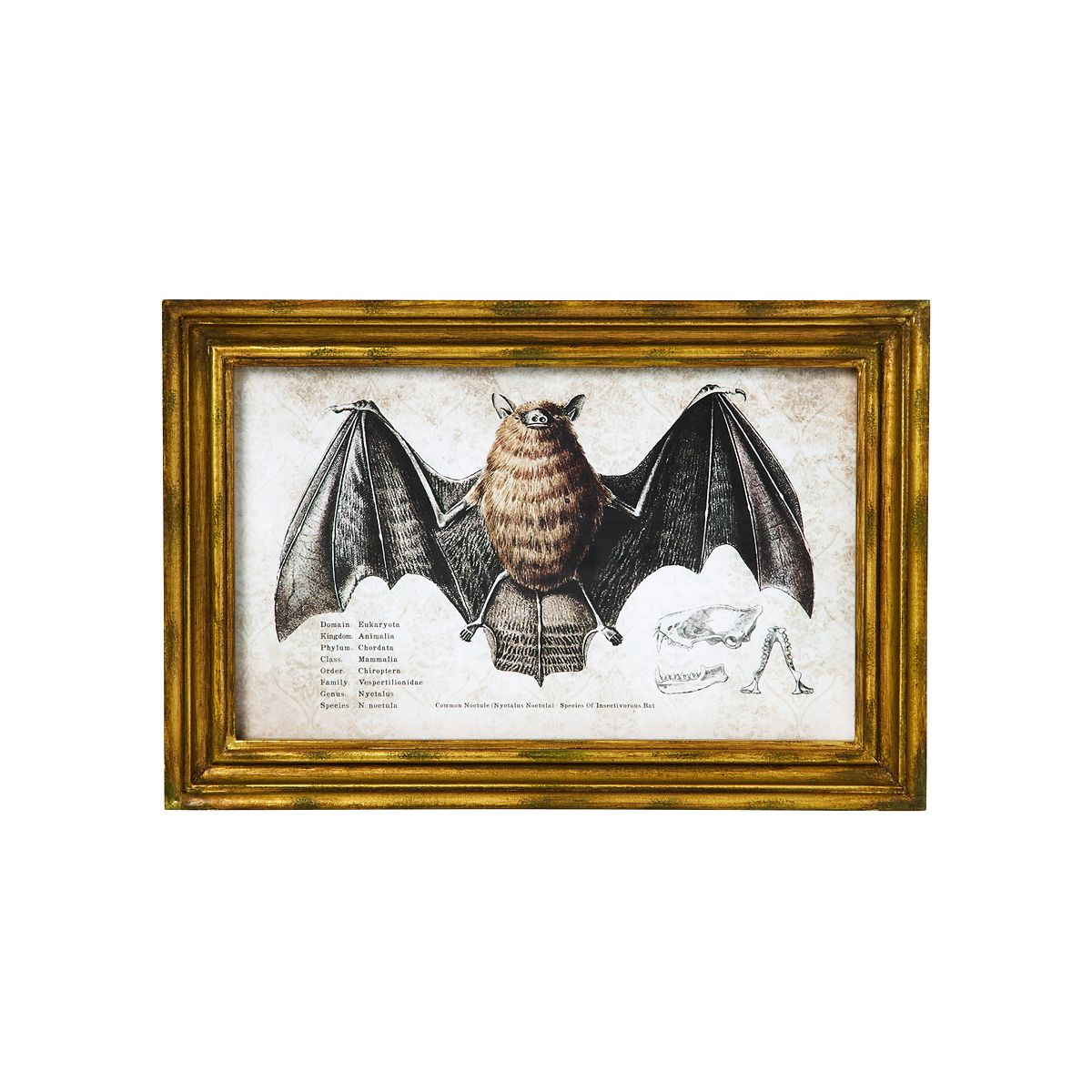 Bat Sign Set - 2 Piece BLACK / MULTI