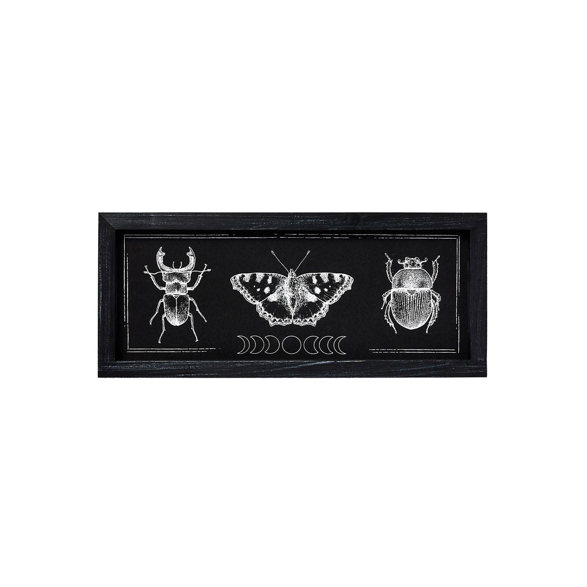 Insect Moon Phase Sign BLACK AND WHITE