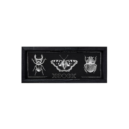 Insect Moon Phase Sign BLACK AND WHITE