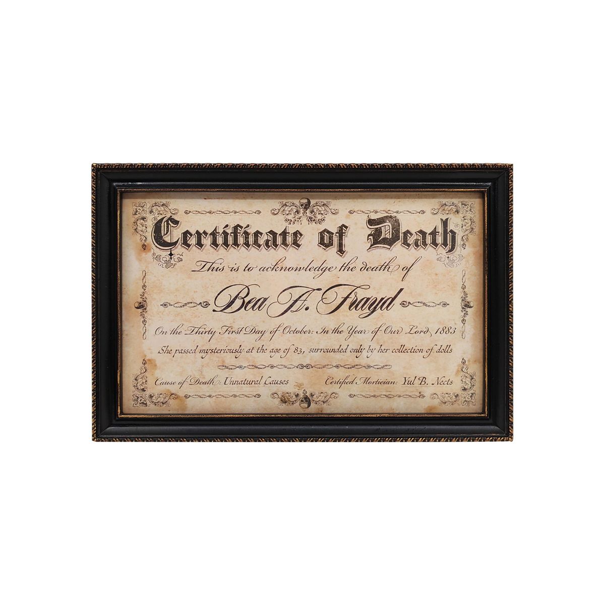 Doll Death Certificate Sign MULTI-COLOR