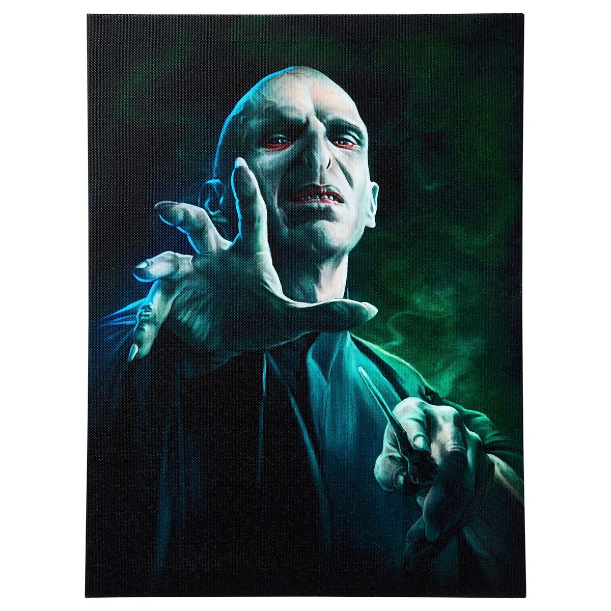 Voldemort Canvas Sign - Harry Potter MULTI-COLOR