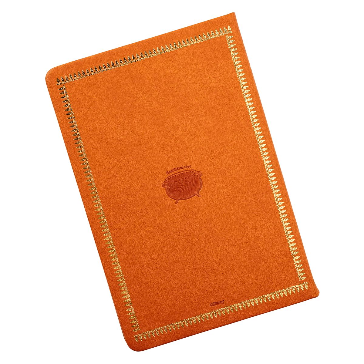 Hocus Pocus Journal Deluxe MULTI-COLOR