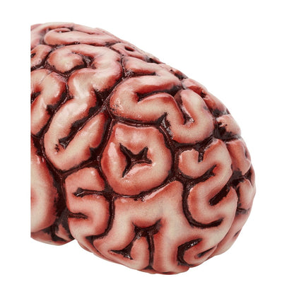 Brain Prop