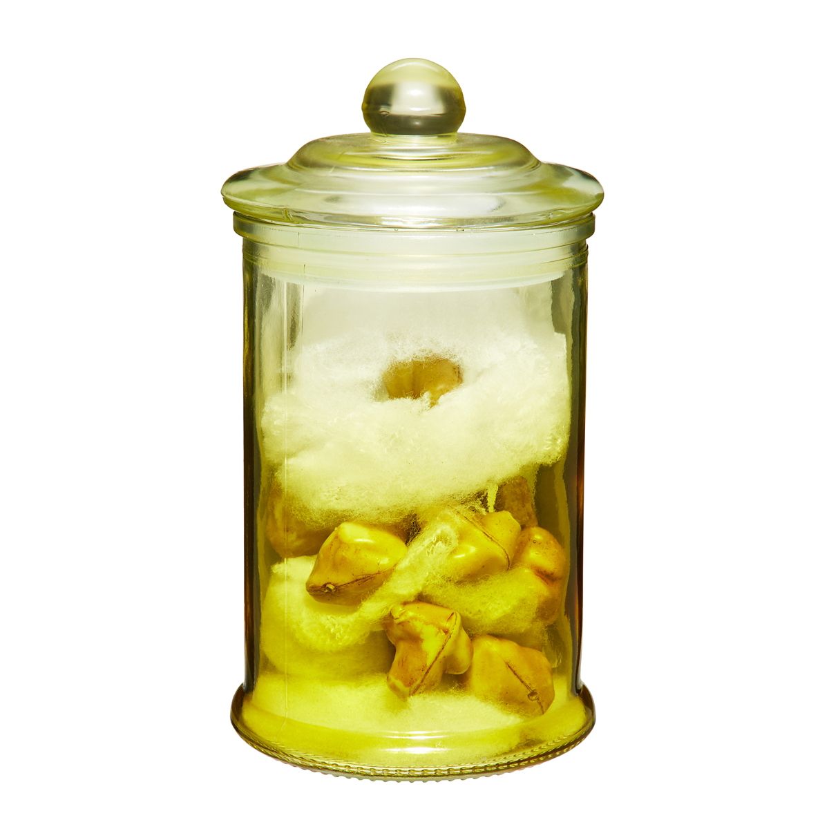 Gothic Noir Teeth Jar