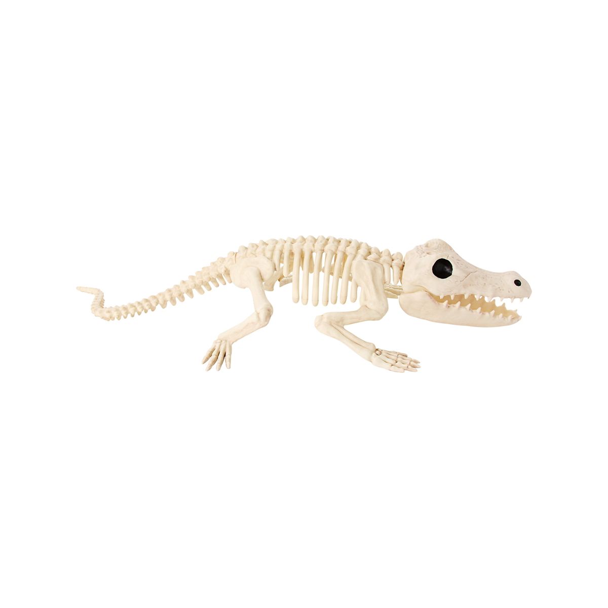 Crocodile Skeleton Static Prop