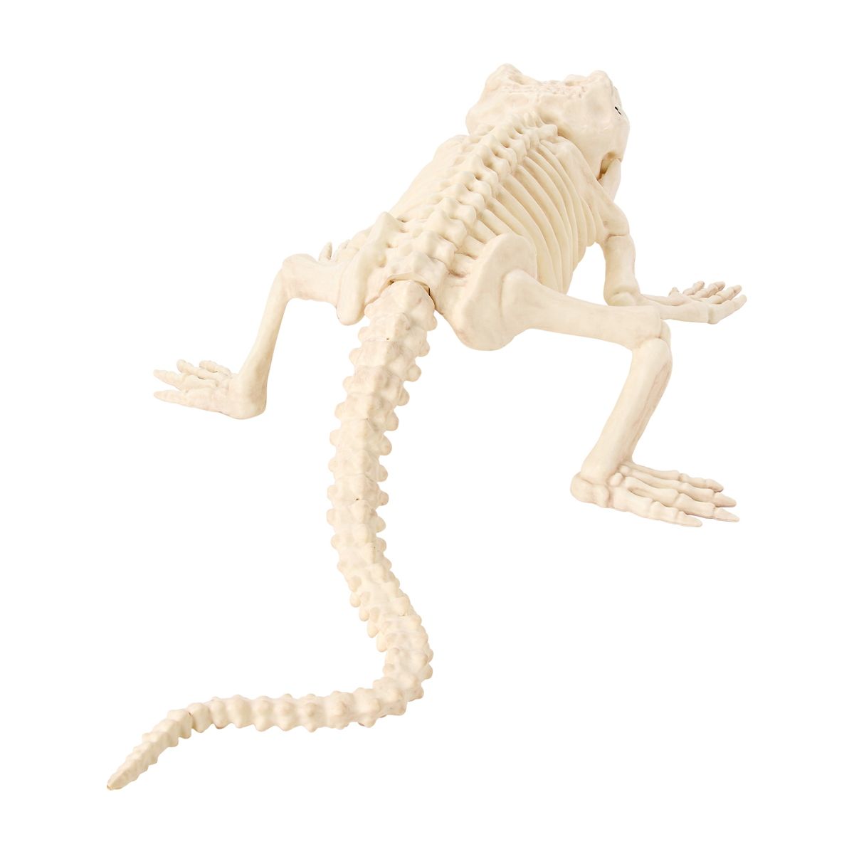 Crocodile Skeleton Static Prop