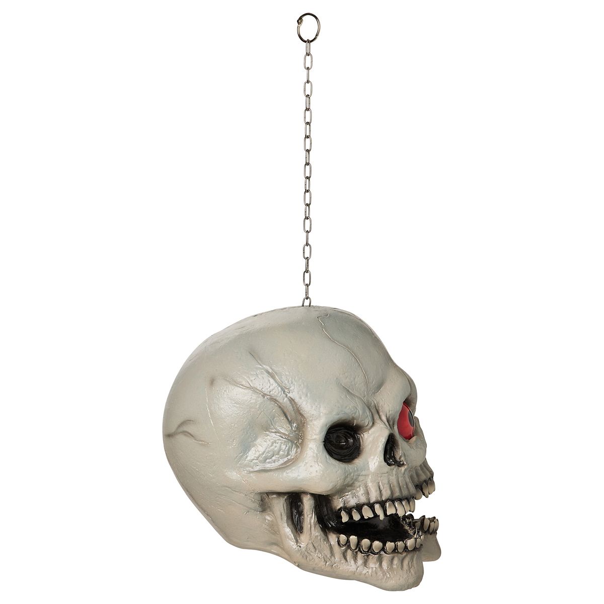 Two-Faced Cyclops Hang-Up Skull MULTI-COLOR