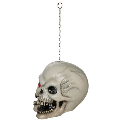 Two-Faced Cyclops Hang-Up Skull MULTI-COLOR